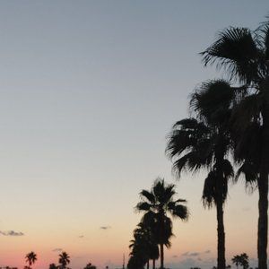 Meet your Posher, Rachael